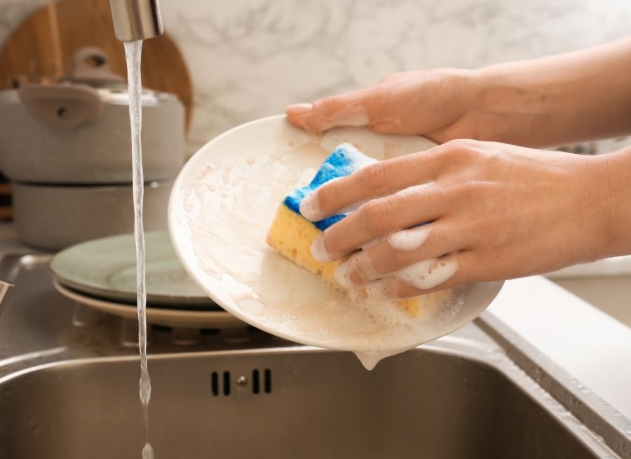 Dish Sponge
