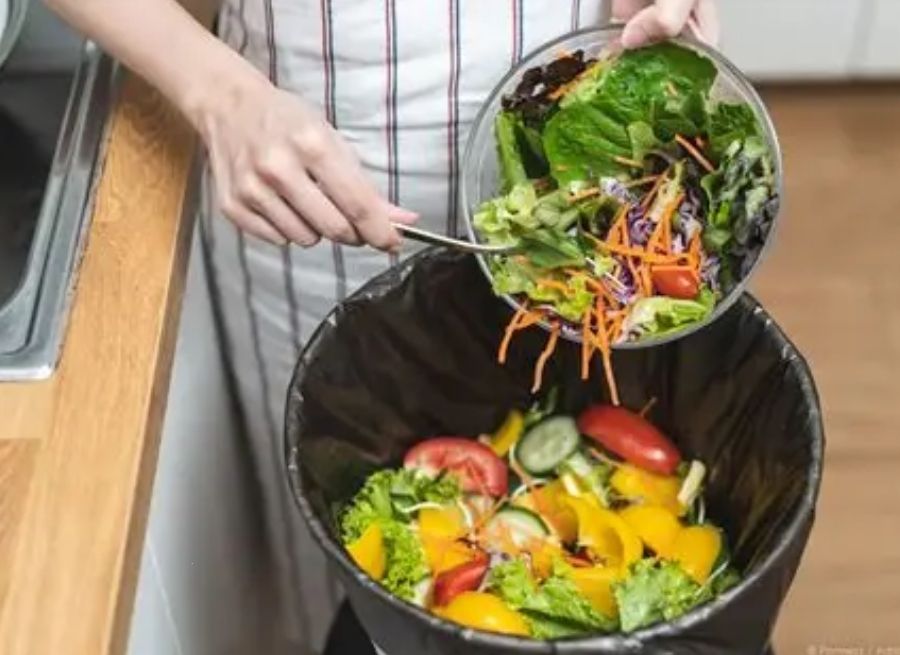 Empty Trash and Manage Food Waste