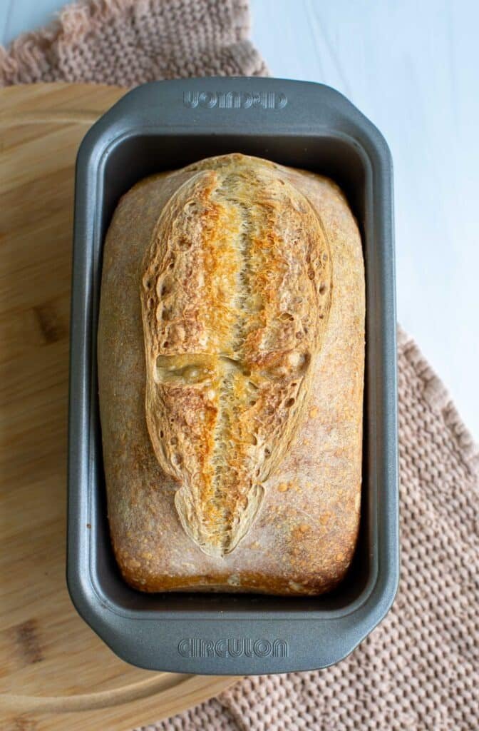 Test the rise of sourdough in a loaf pan before scoring and baking.