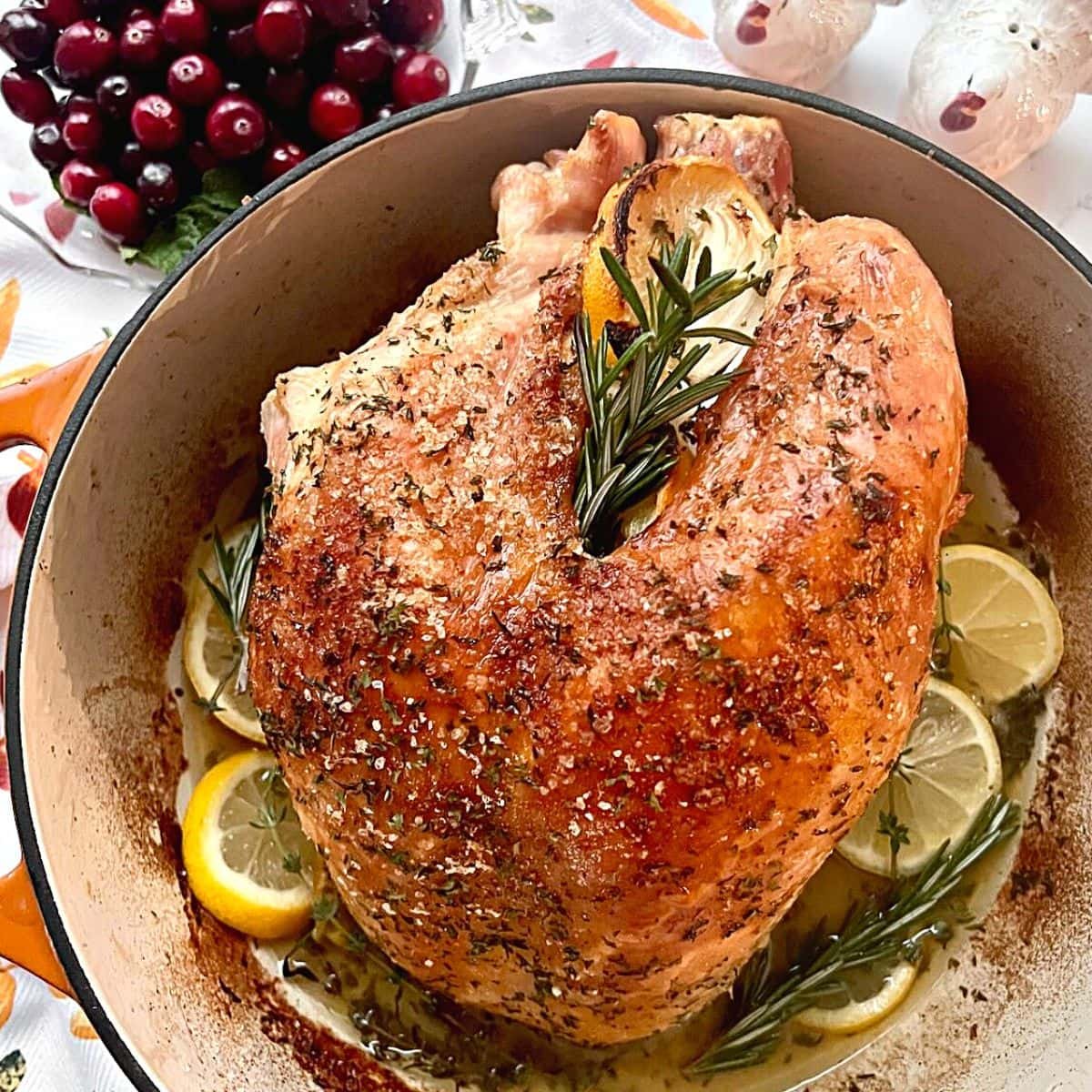 Poultry shears lie next to a large turkey that is too big for cooking.